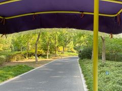 -昆山城市生态森林公园