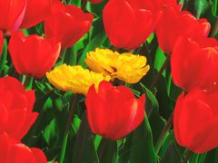 -北京植物园南门售票处