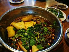 -老号尤兔头(幸福店)