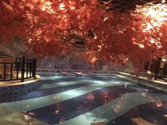 -寻梦盛唐主题水会(龙岗店)