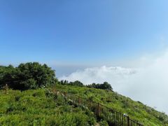 -北京鹫峰国家森林公园