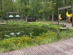 -黄海国家森林公园