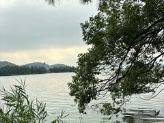 -东湖落雁景区