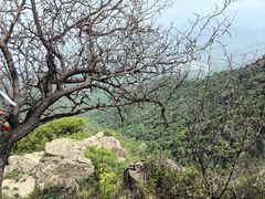 -北京鹫峰国家森林公园