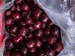 车厘子-堤口果品批发市场