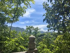 -塔云山