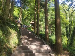 -青城山