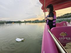 -大兴滨河森林公园