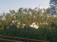 -东郊湿地公园