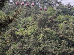 -沂蒙山旅游区云蒙景区(蒙山国家森林公园)