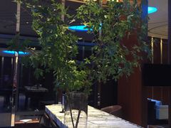 -green essence 青籁优体(三里屯店)