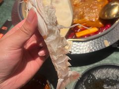-牛New寿喜烧(金鹰世界店)