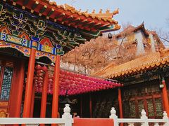 -高尔山公园