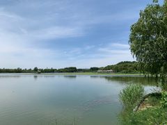 -大兴滨河森林公园