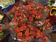 -循礼门鲜花花市(武汉循礼门店)