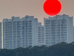 -厦门邮轮中心厦鼓码头(轮渡站)