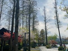 -浙江西子宾馆·瑶园咖啡厅