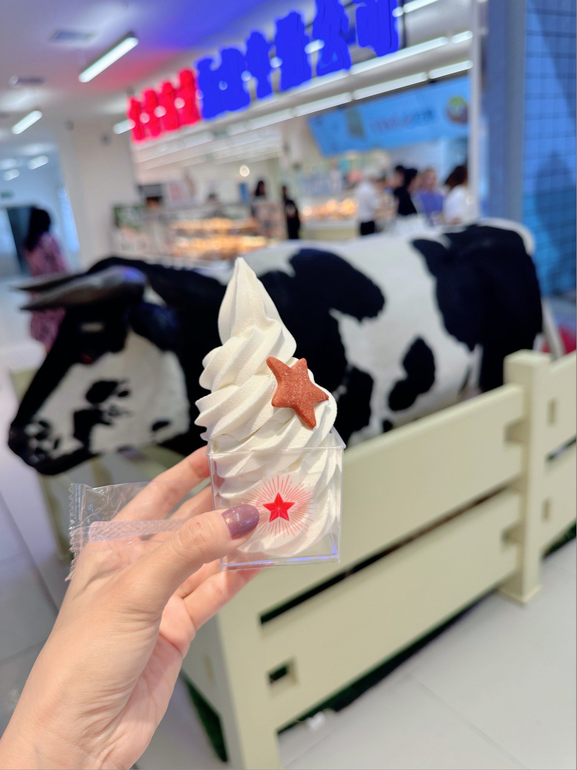 红星前进1元冰淇淋的快乐