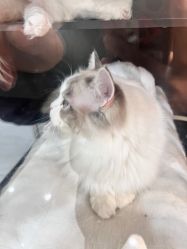 -花系美·美甲美睫精品店