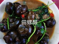 -遇龙河大樟树农家乐