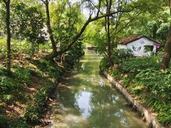 -西溪国家湿地公园