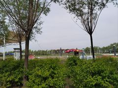 -呼兰河口湿地公园