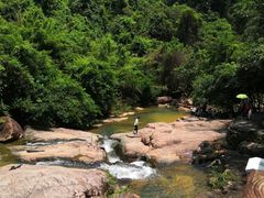 -广州白江湖森林公园