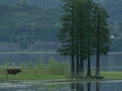 -四明湖