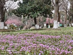 -梁鸿国家湿地公园