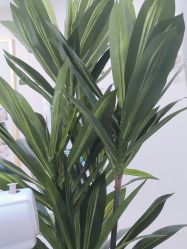-郡艺医疗美容·微整·眼鼻吸脂