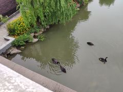 -浙江越秀外国语学院