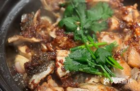 Freshly Cut Fish Bones