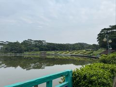 -东莞植物园