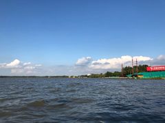 -溱湖国家湿地公园