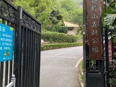 -板樟山森林公园