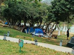 -凤岗南门山森林公园