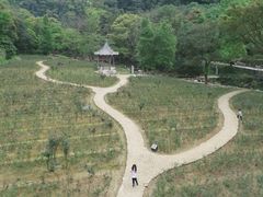 -广州市石门国家森林公园