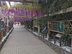 -呀路古热带植物园