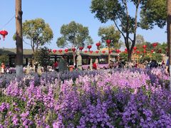 -仙岳公园
