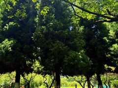 -白塘生态植物园