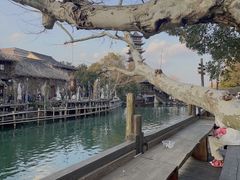 -乌镇西栅景区