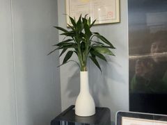 -田凤波推拿.按摩养生(幸福店)