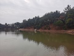 -南京市无想山景区