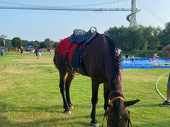 -武汉紫薇都市田园