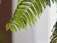 -溯洄咖啡VORTEX COFFEE