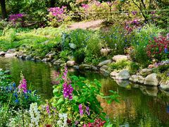 -上海共青森林公园