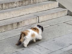 -大钟寺古钟博物馆
