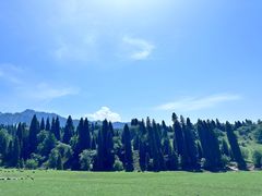 -新疆那拉提国家旅游度假区