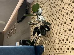 -鹿港小镇(霄云店)