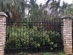 -人民公园(罗湖区)